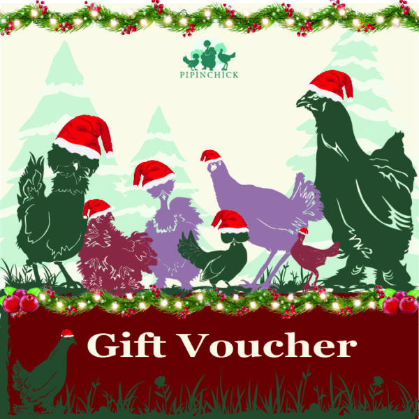 Christmas Gift Vouchers