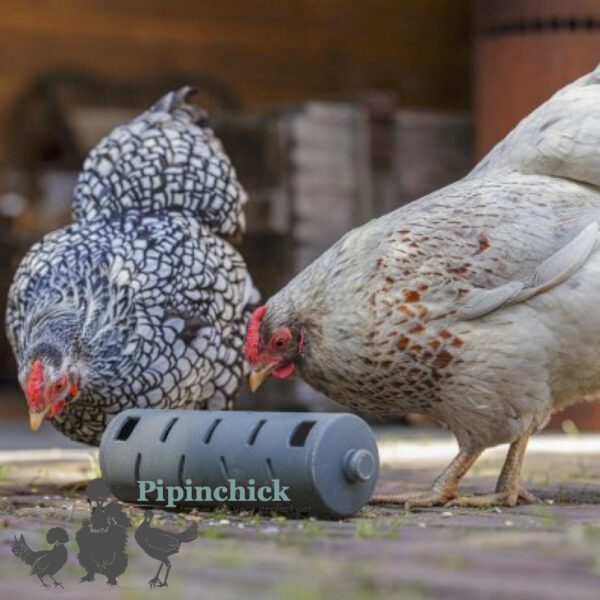 Beezteez Chicken Snack Treat Roller