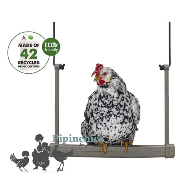 Beezteez Chicken Swing