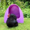 Poultry Palace Nesting Box